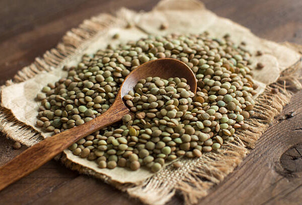 Lentil Seeds (Mushang)